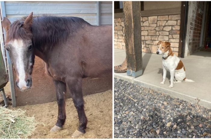 272835997_480357950162233_3201711445862704623_n