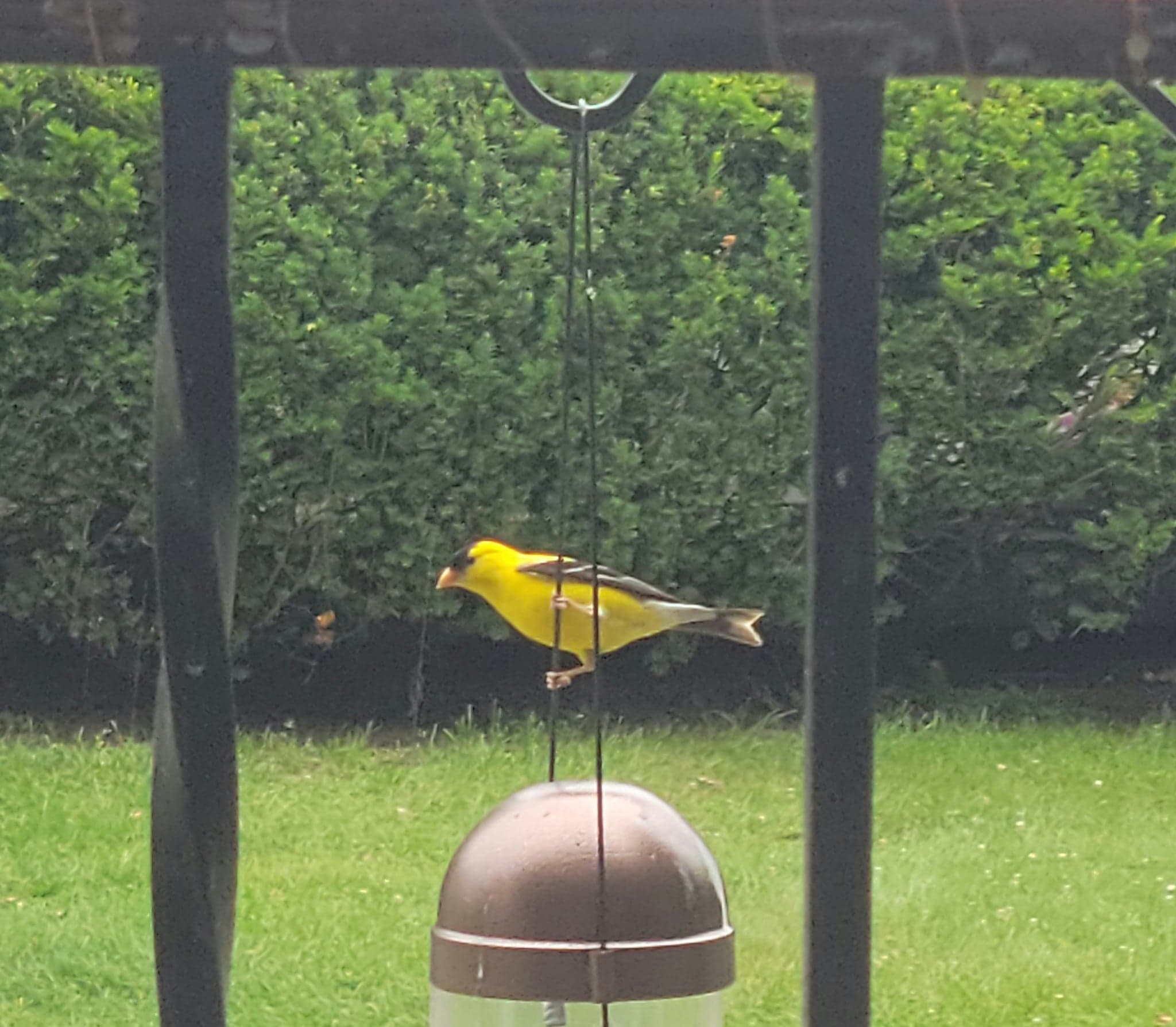 296286250_980210466114573_6961698852865660962_n